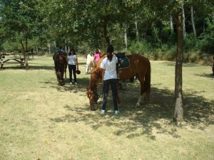 Horse-riding | Casa de Colònies Can Solà