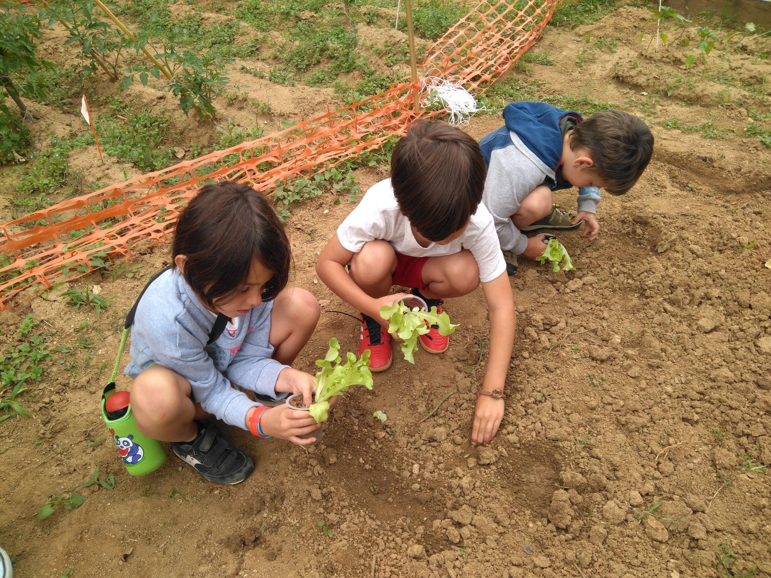 IMG_20220603_104953_163